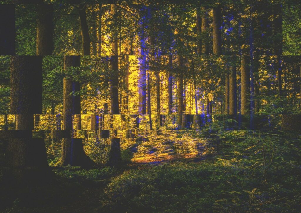 Forest scene with sunlight filtering through trees, digital art glitch effect, immersive nature environment, virtual reality forest experience, micro immersive technology relevant for opt.